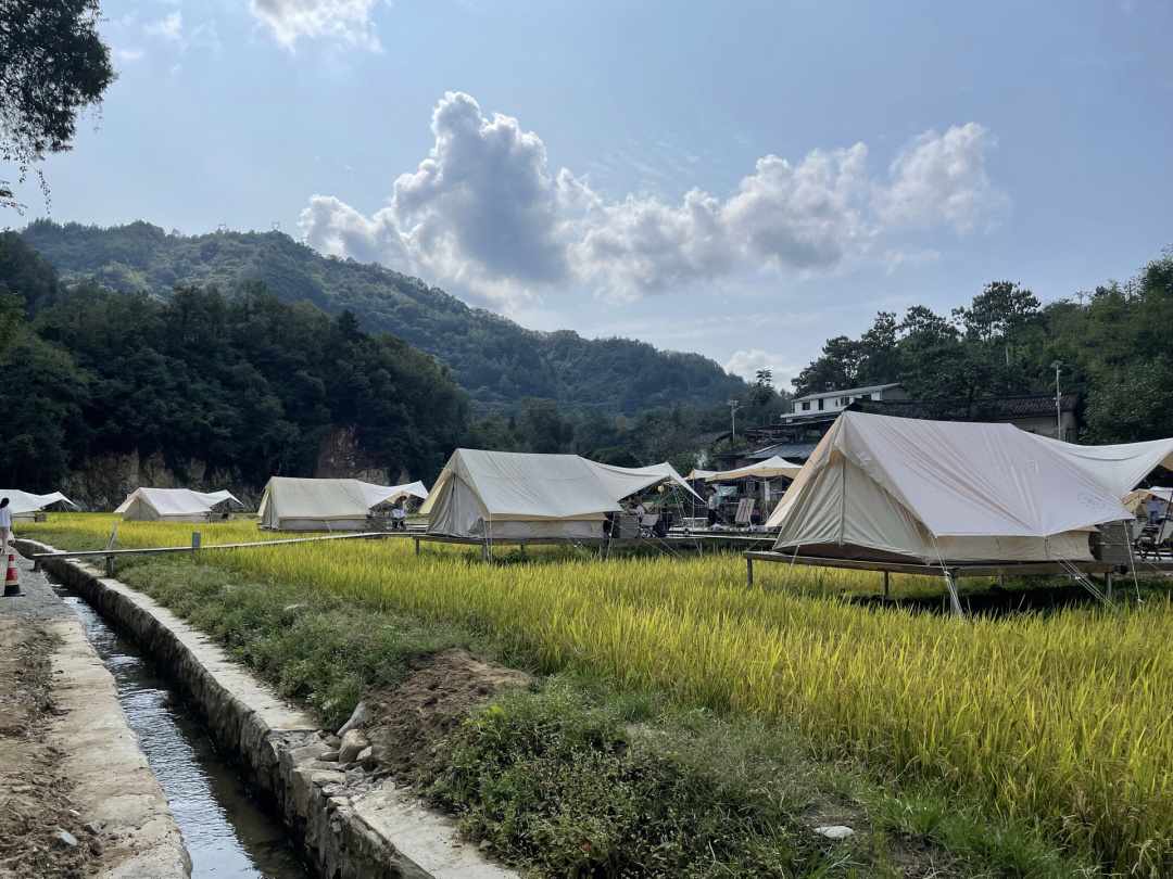 稻花香里的田园