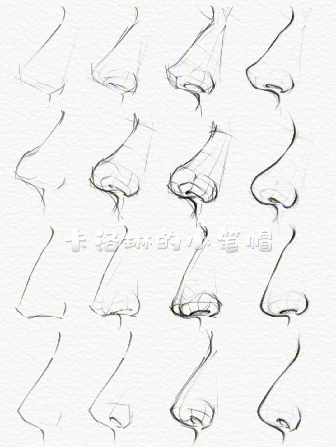 鼻子的画法步骤图片