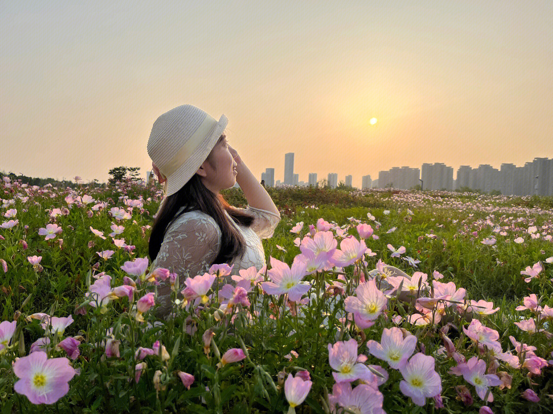 洋湖湿地的月见草花海