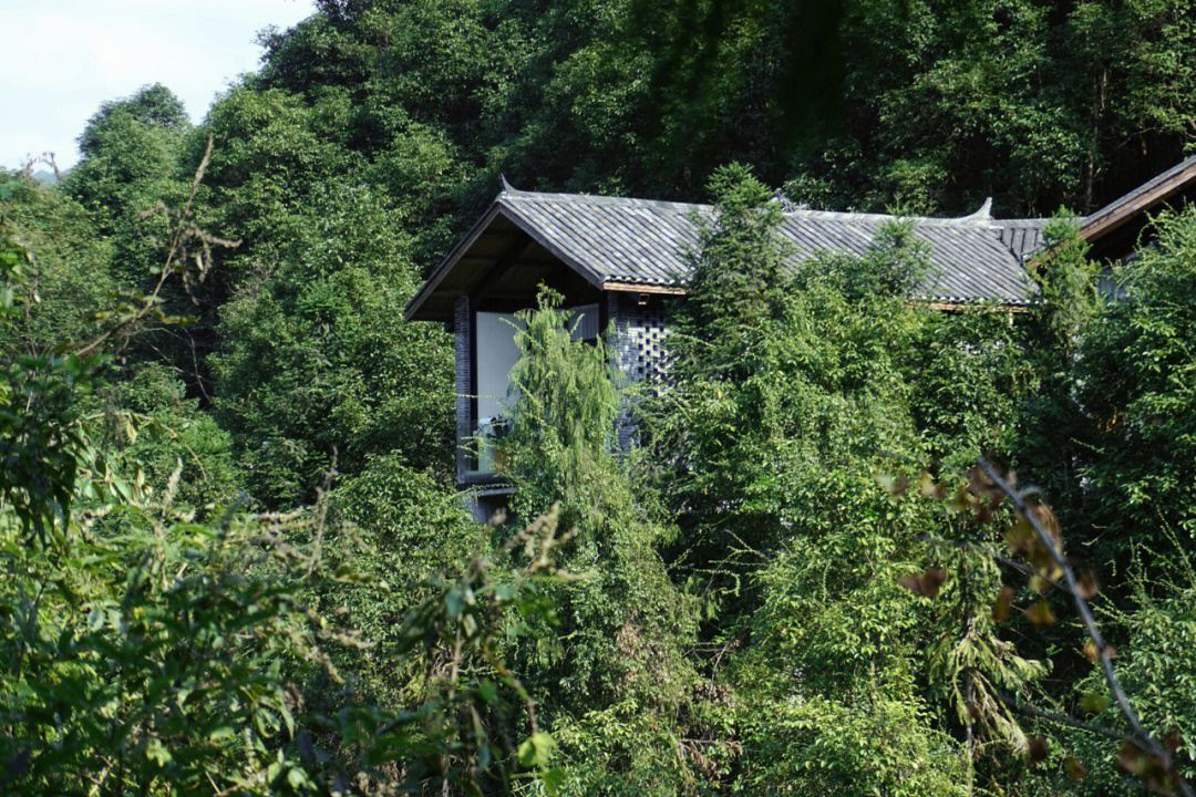 保靖202温泉度假村图片