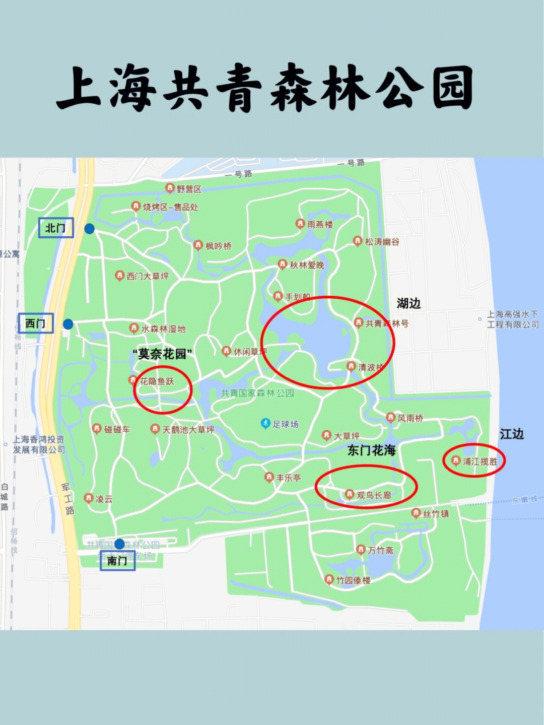 旅游玩乐上海共青森林公园一日游