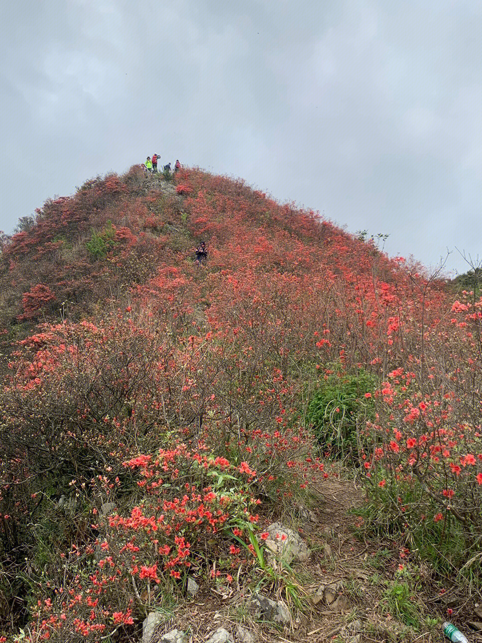 hiking75通天蜡烛