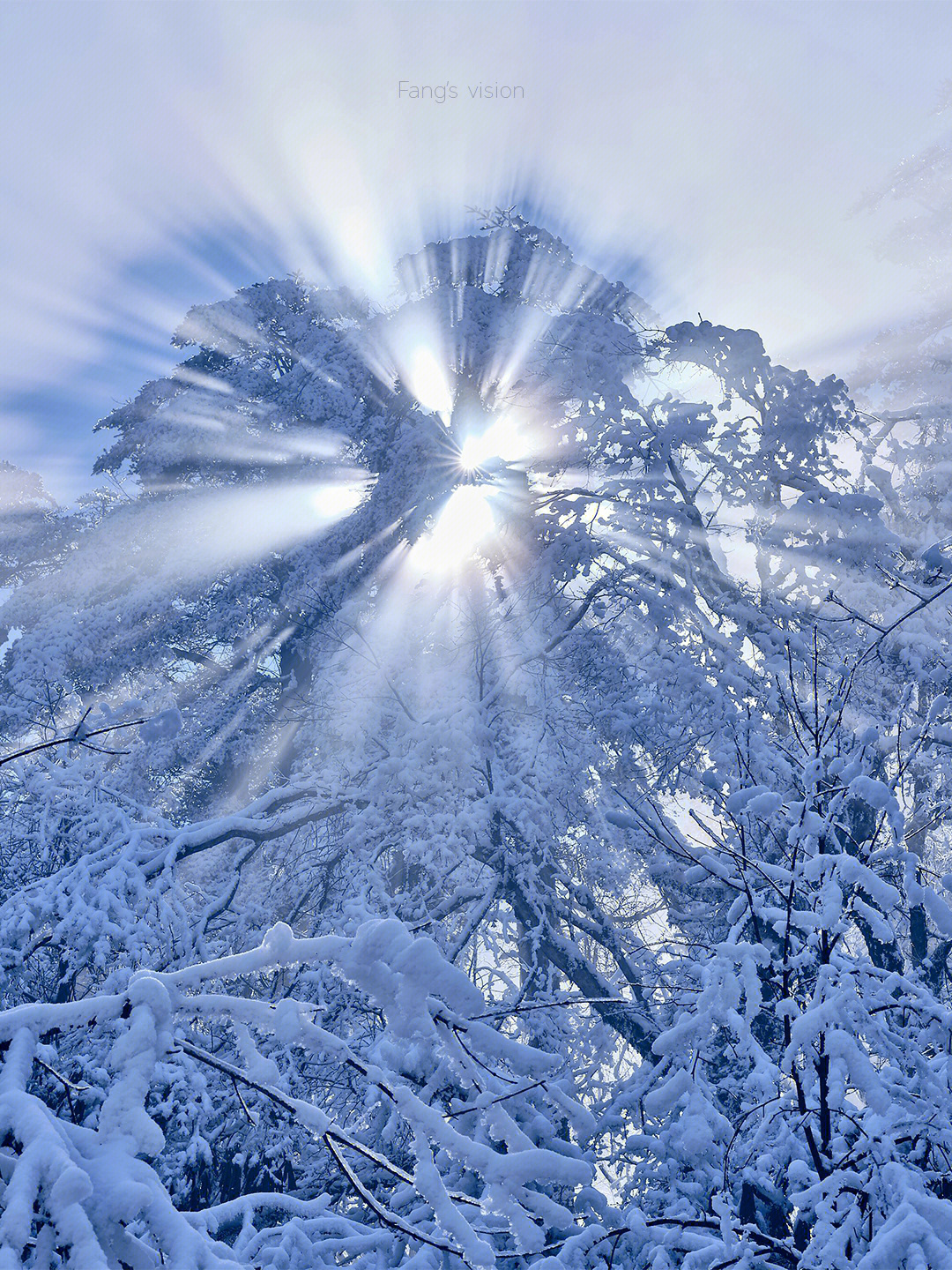 雪景摄影作品名称图片