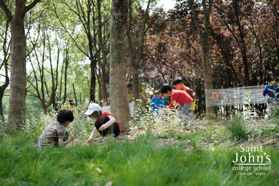 圣约翰幼儿园图片