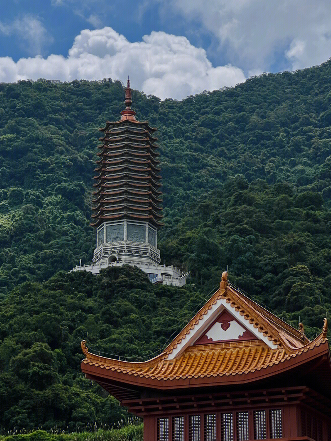 仙湖植物园弘法寺图片图片