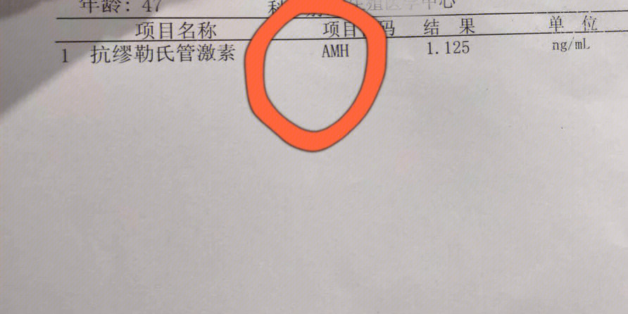 amh值低就不能怀孕了?你真的了解amh值吗