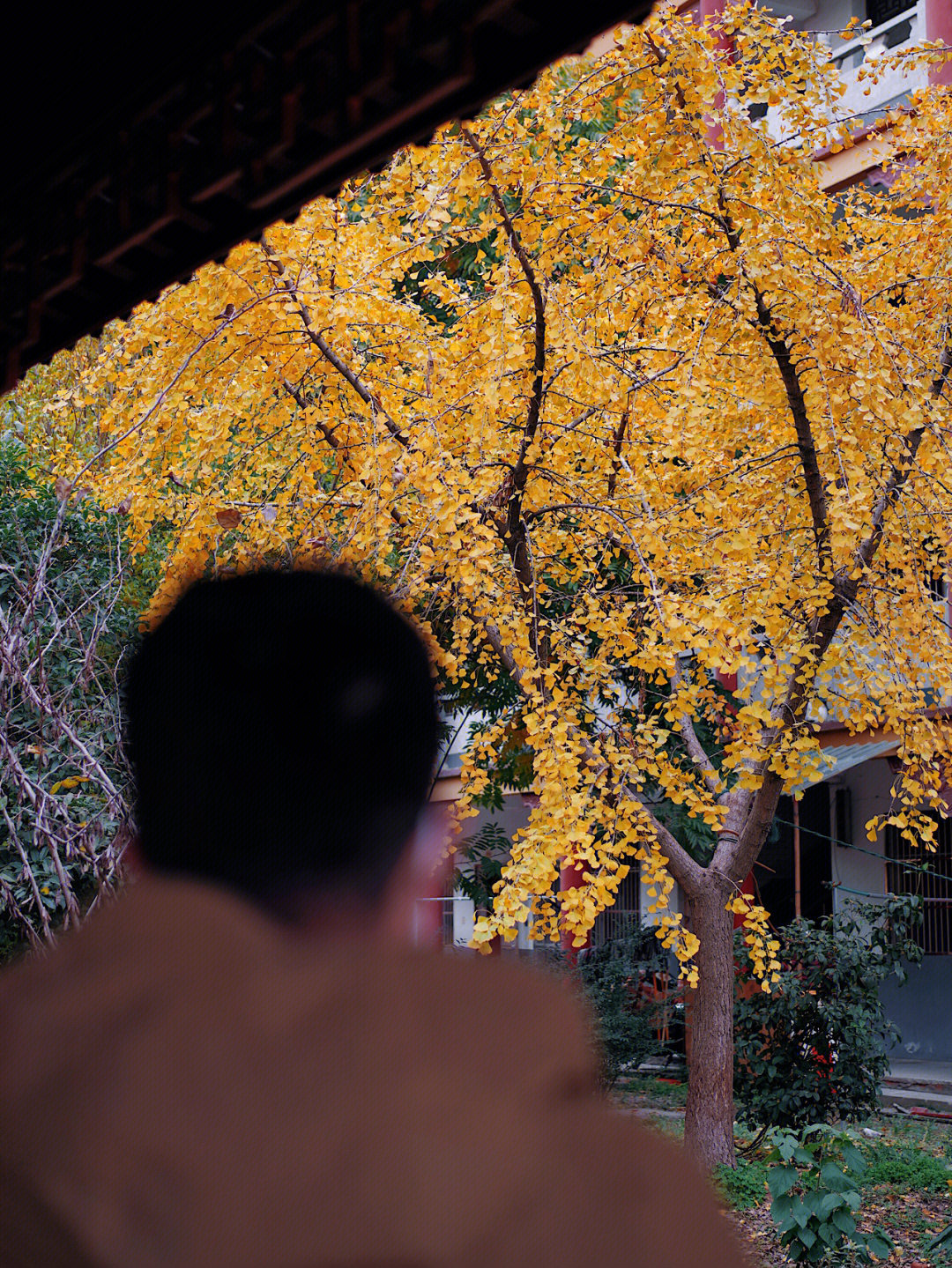 常州永宁寺释慧平简历图片