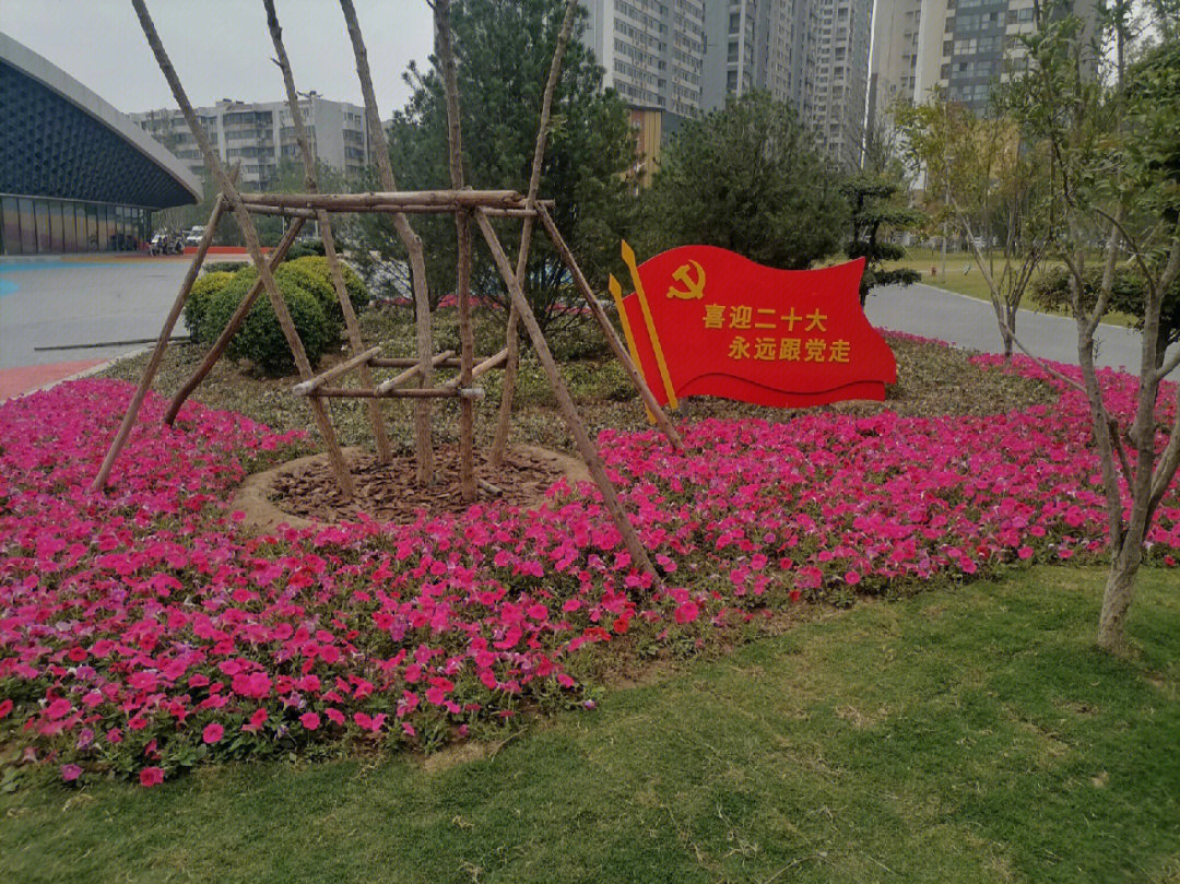 郑州青少年公园南区图片