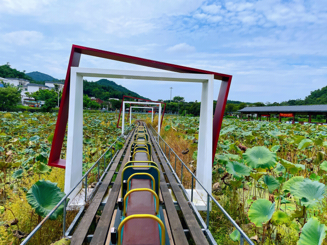 萧山红山村图片