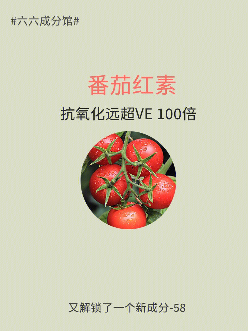 今日成分解锁99植物中的黄金/抗氧化远超ve 100倍-番茄红素166