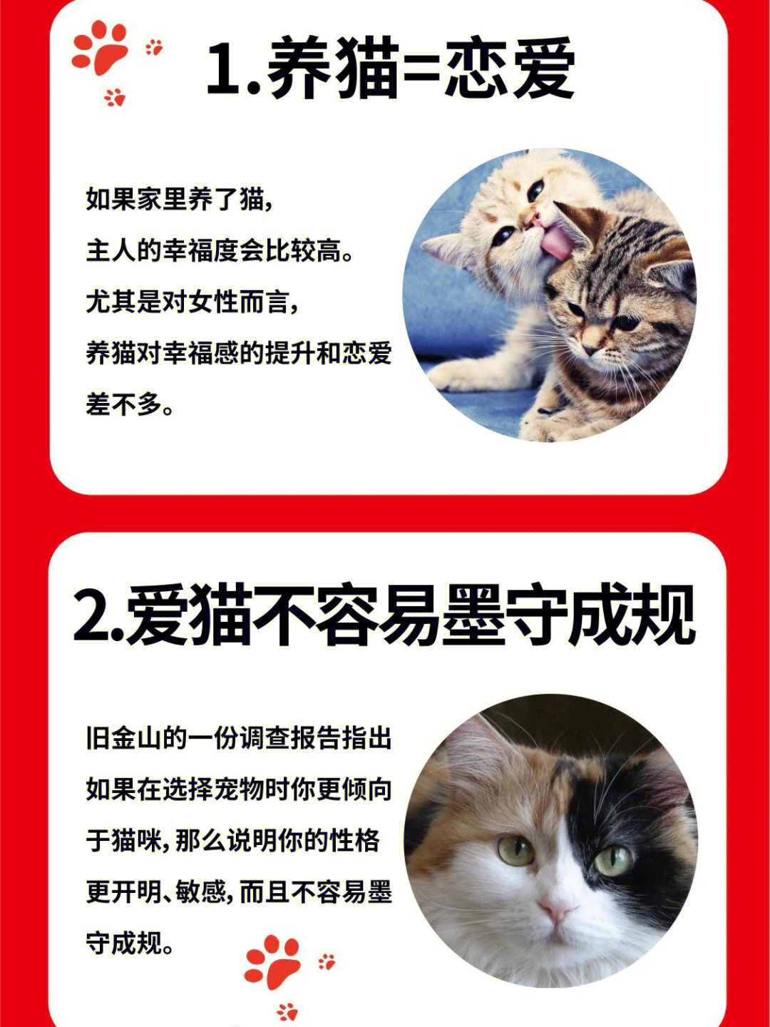 养猫的坏处图片