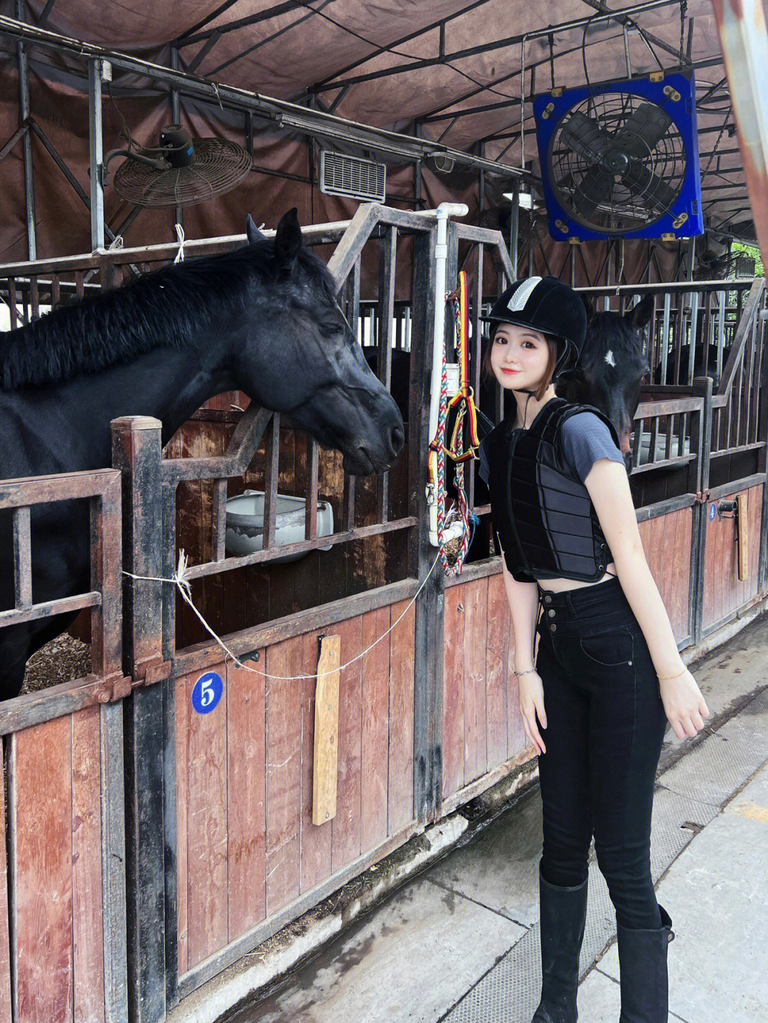 上海女子骑马上街图片