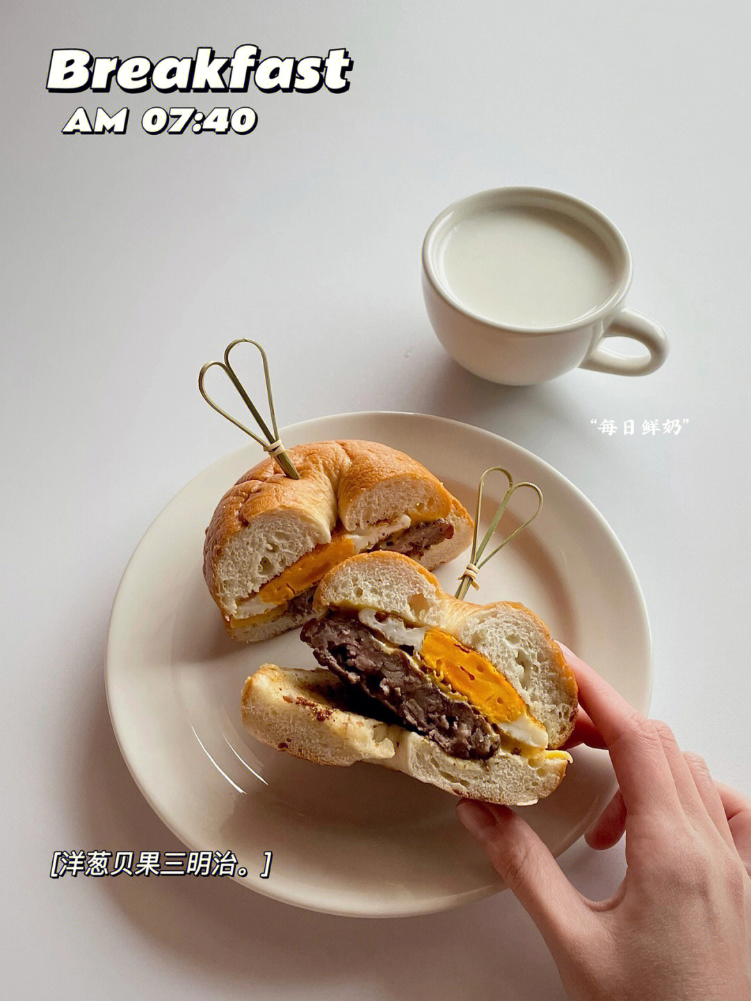 菠萝93午餐:红烧鸭/葱烧鲈鱼/白辣椒炒肉/白灼秋葵/清煮冬苋菜/白