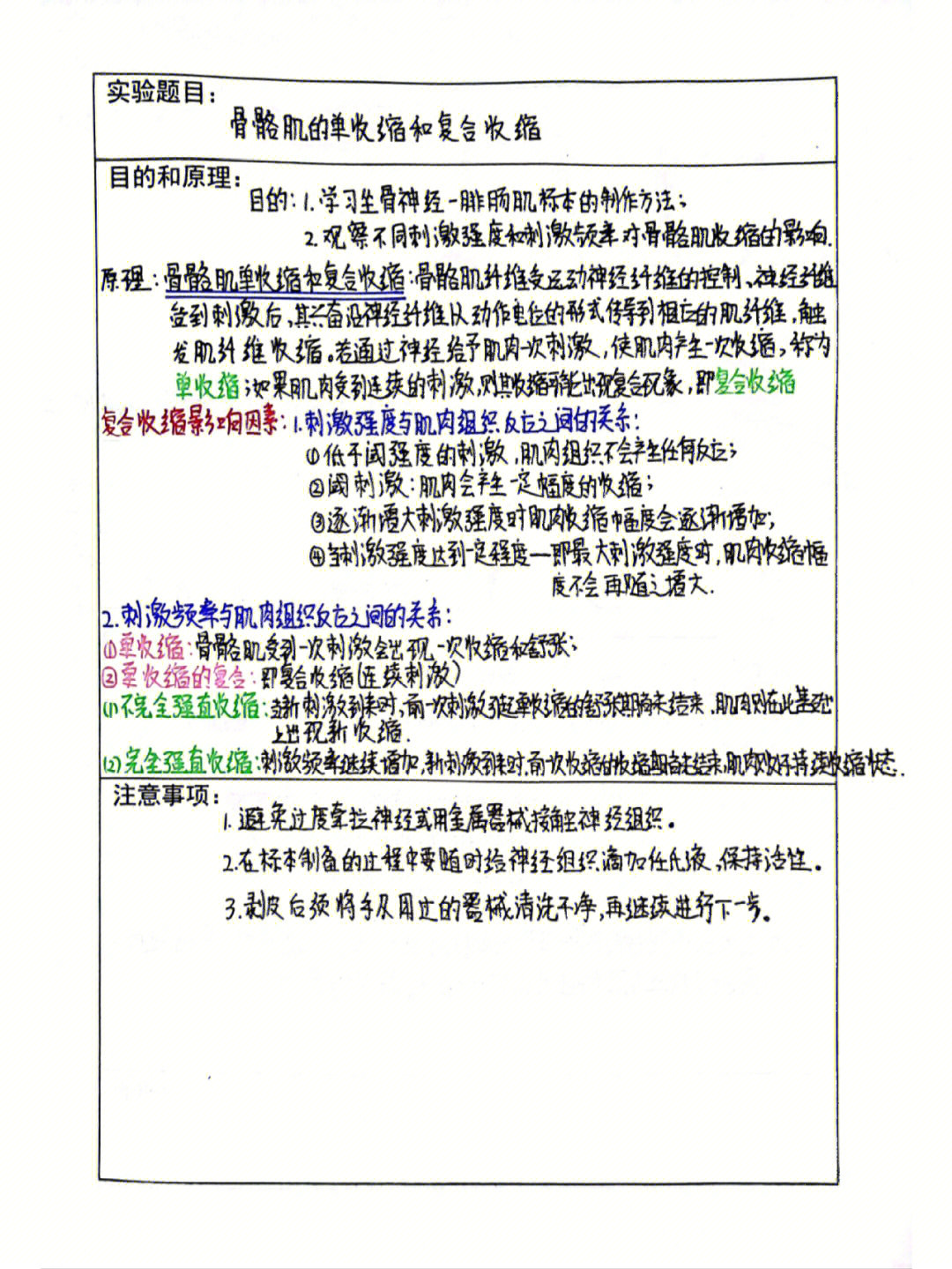 骨骼肌实验报告手绘图图片