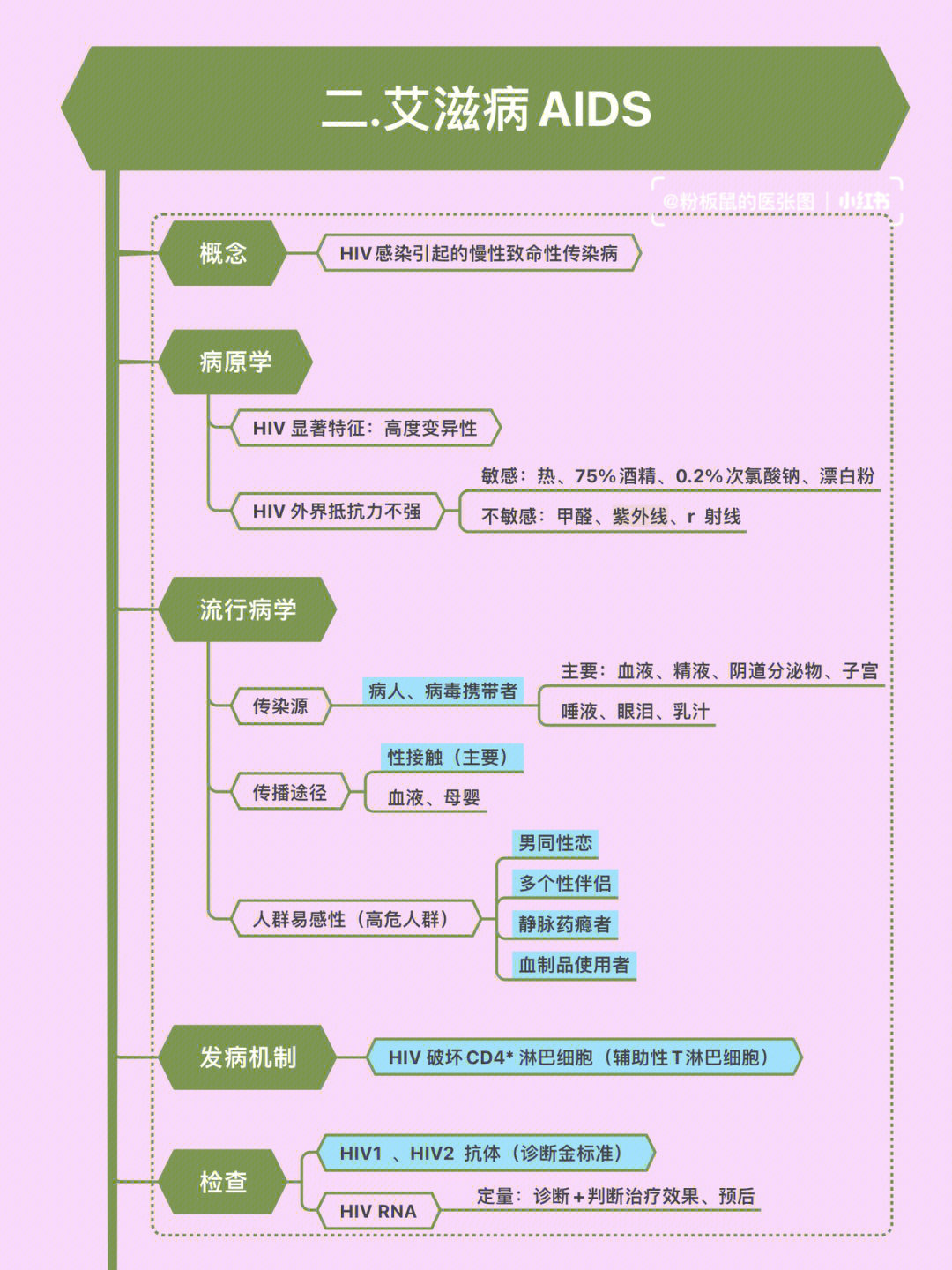 护理ppt学习  