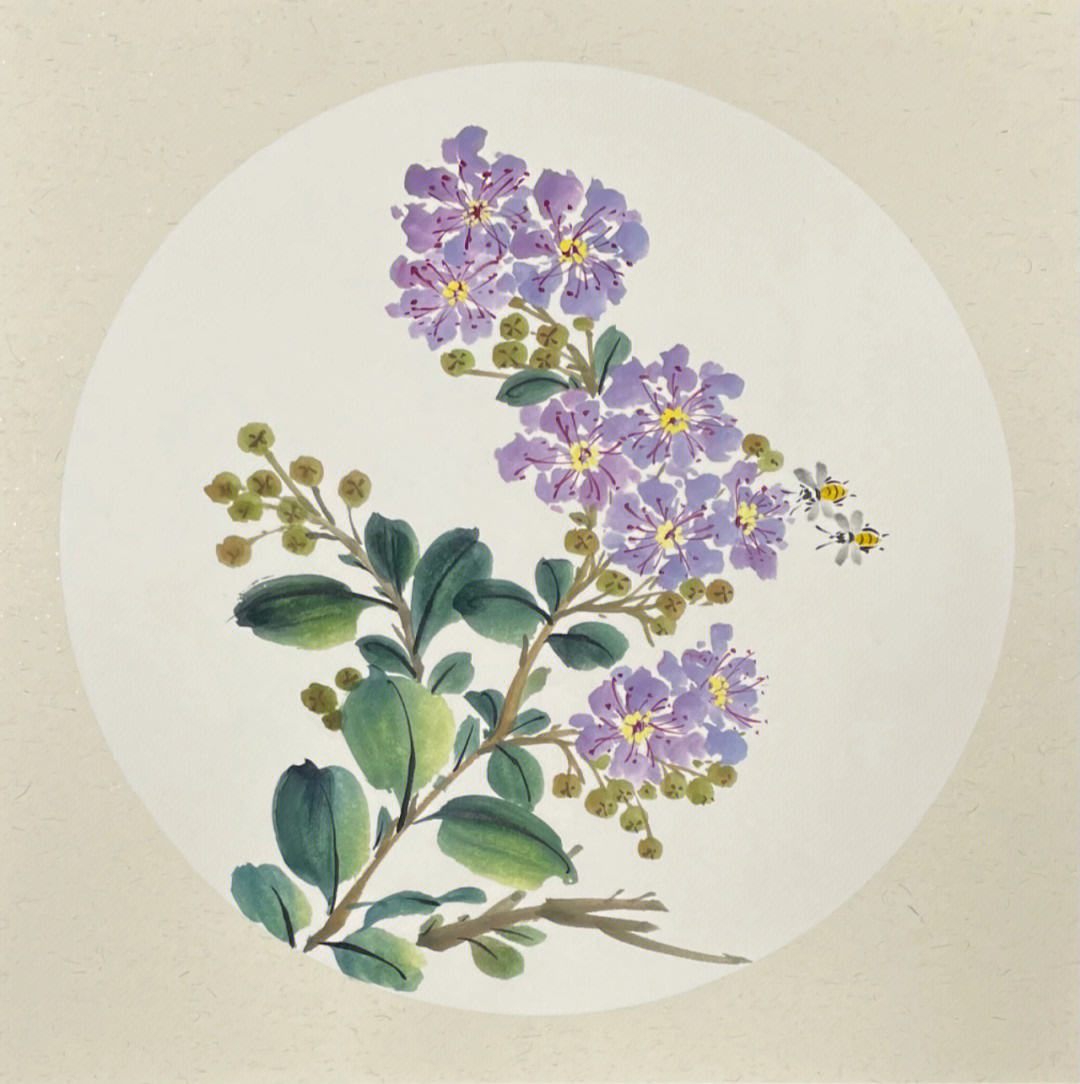紫薇花树简笔画图片