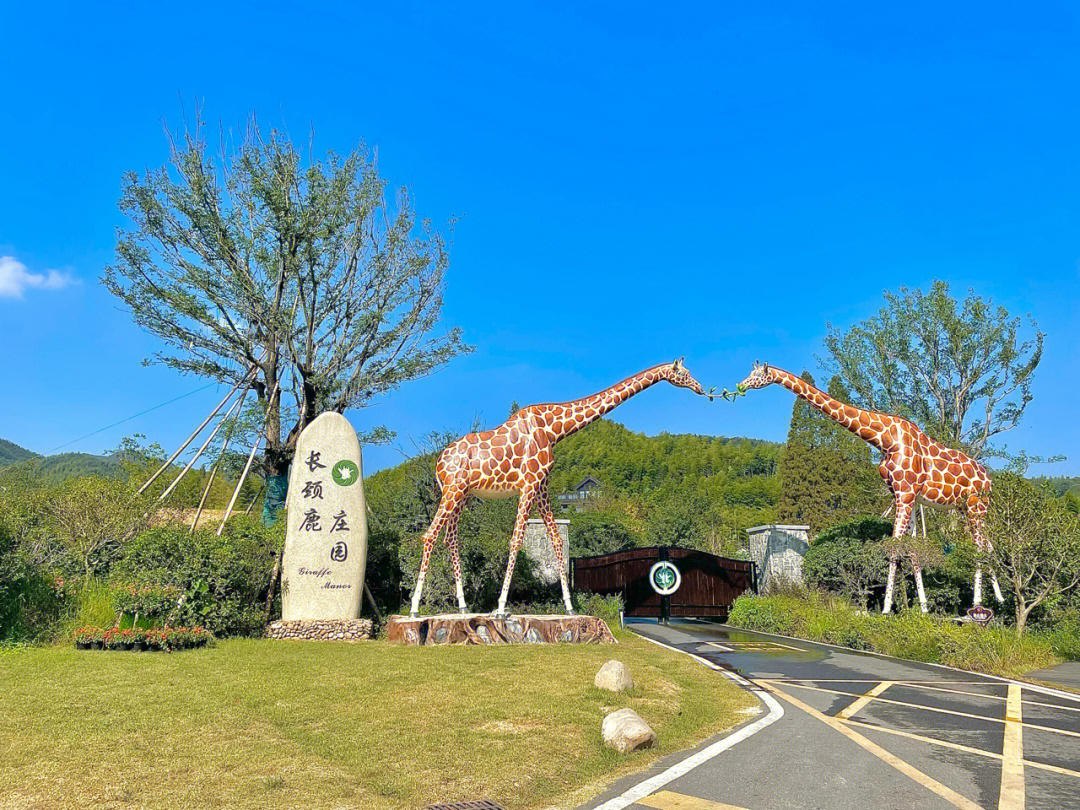 妙西长颈鹿庄园门票图片