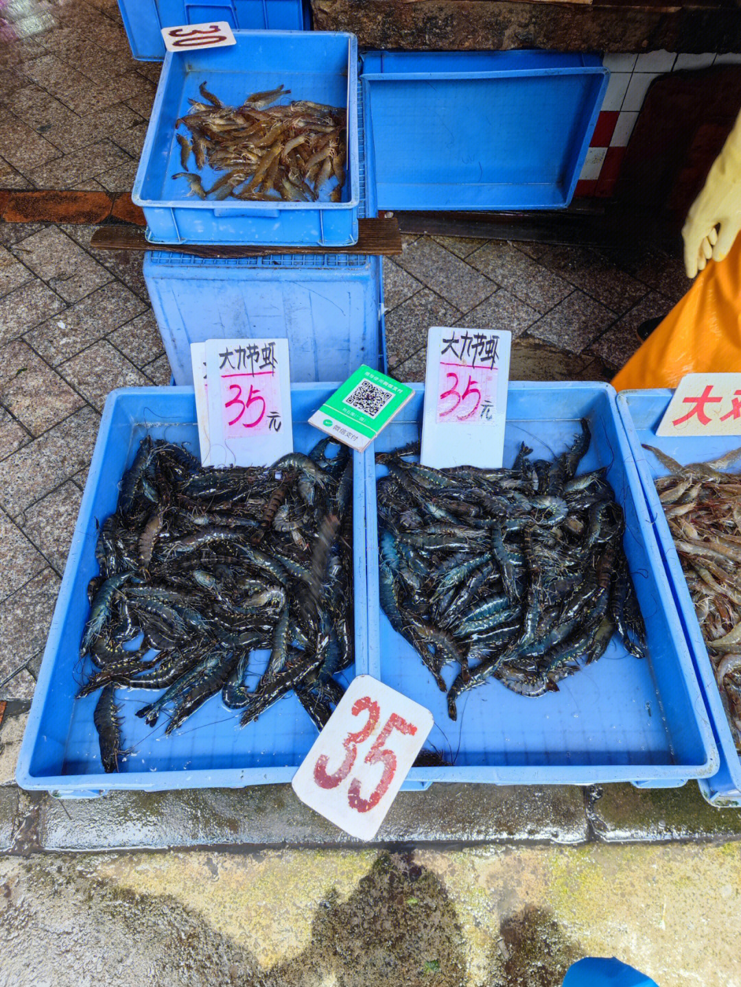 海鲜价格恢复正常,虽然有些还是偏贵(例如花蟹),但现在的九节虾中大