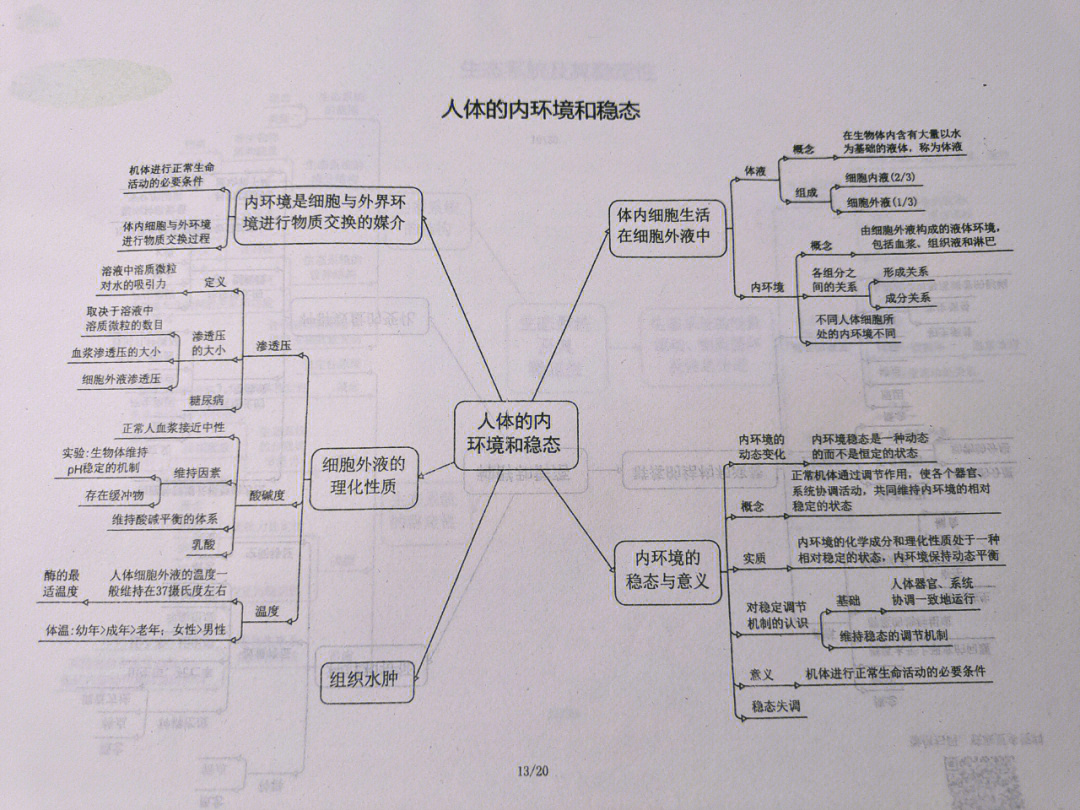 生物选修一框架图图片