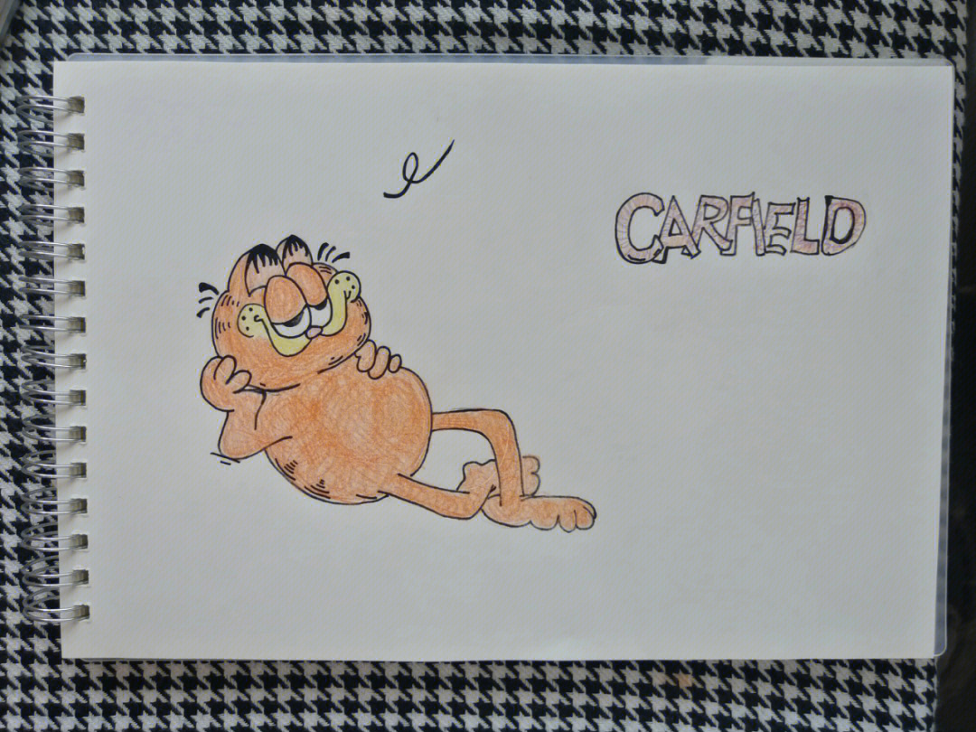 加菲猫的幸福生活四毛图片