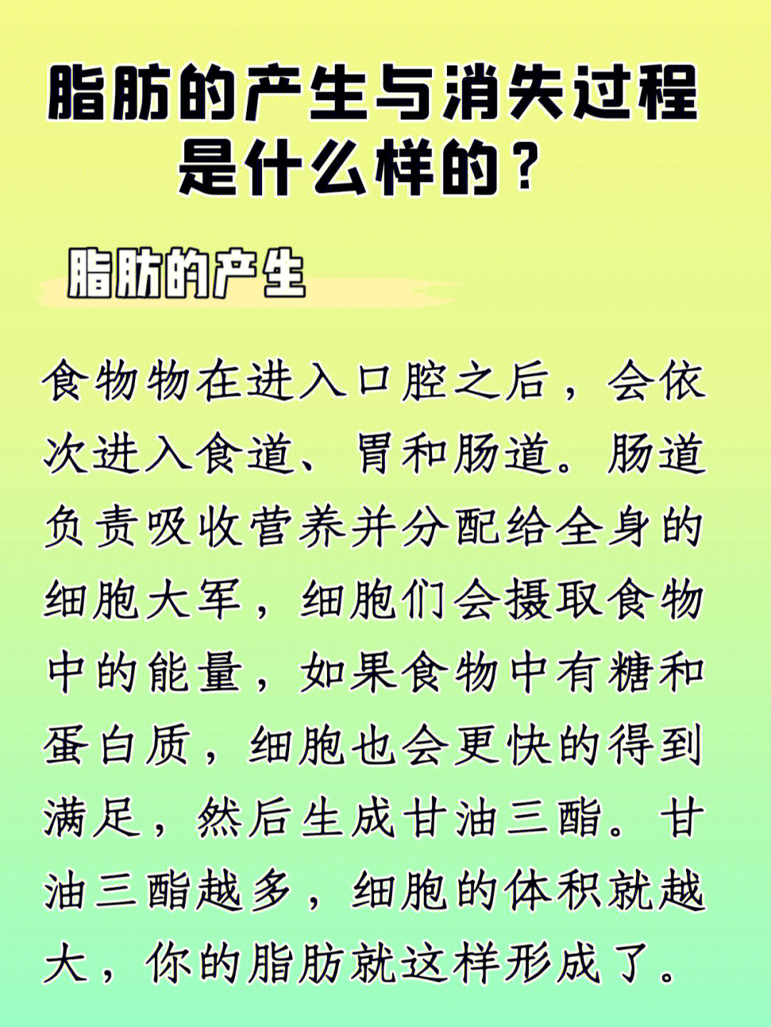 脂肪代谢过程图片