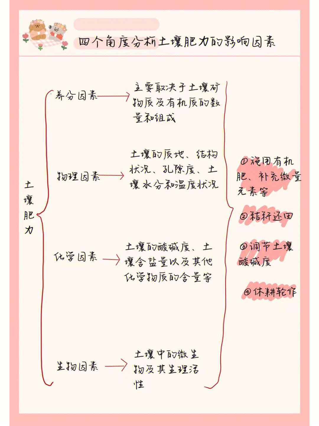 孔隙思维导图图片