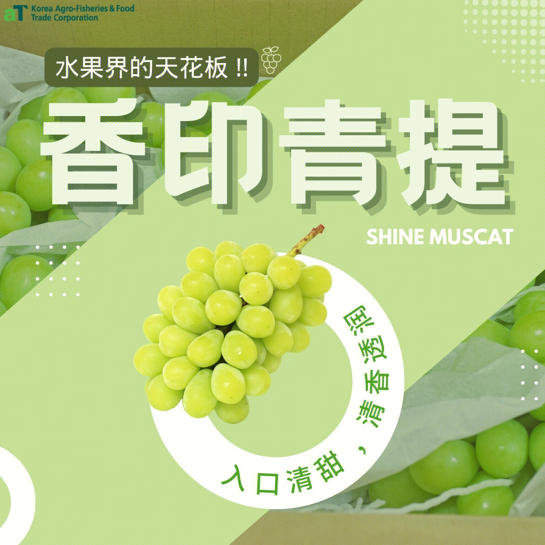 被称为果中爱马仕的韩国香印青提 (shine muscat) 颜色青翠透润