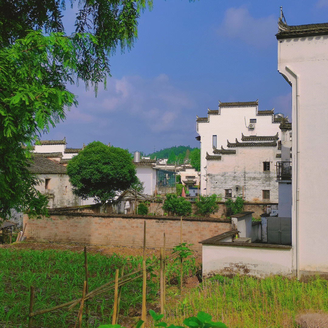 婺源宝汇通李飞图片