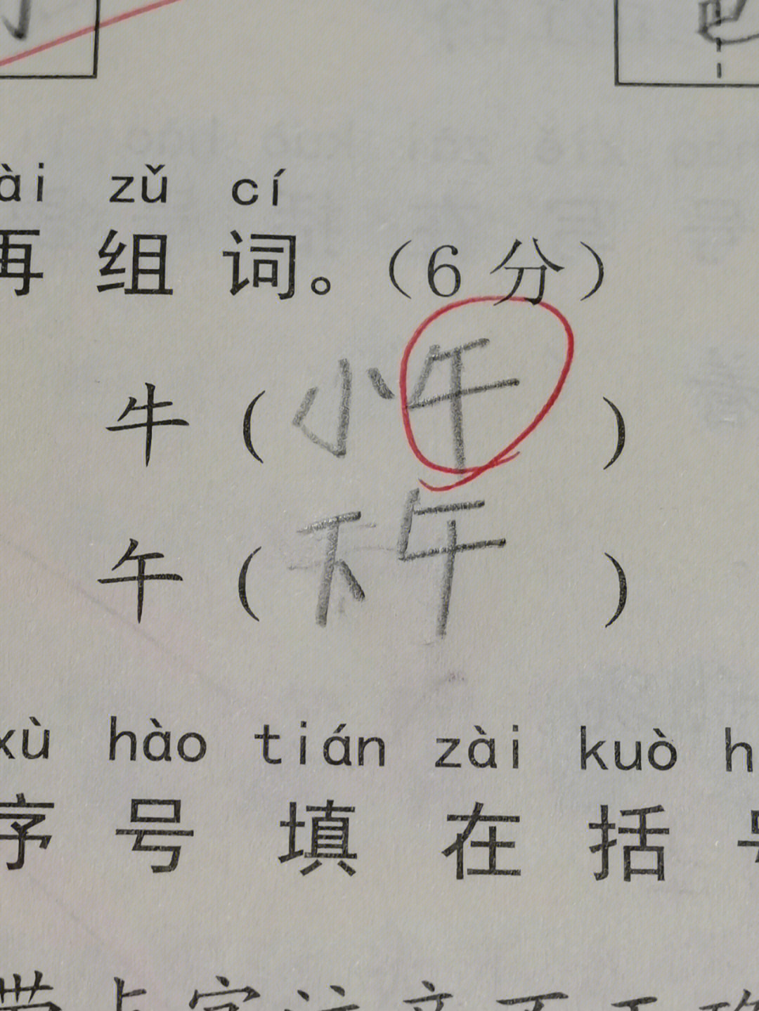 组词:牛的组词:公牛 母牛 小午(嗯#小学语文老师#小学生试卷