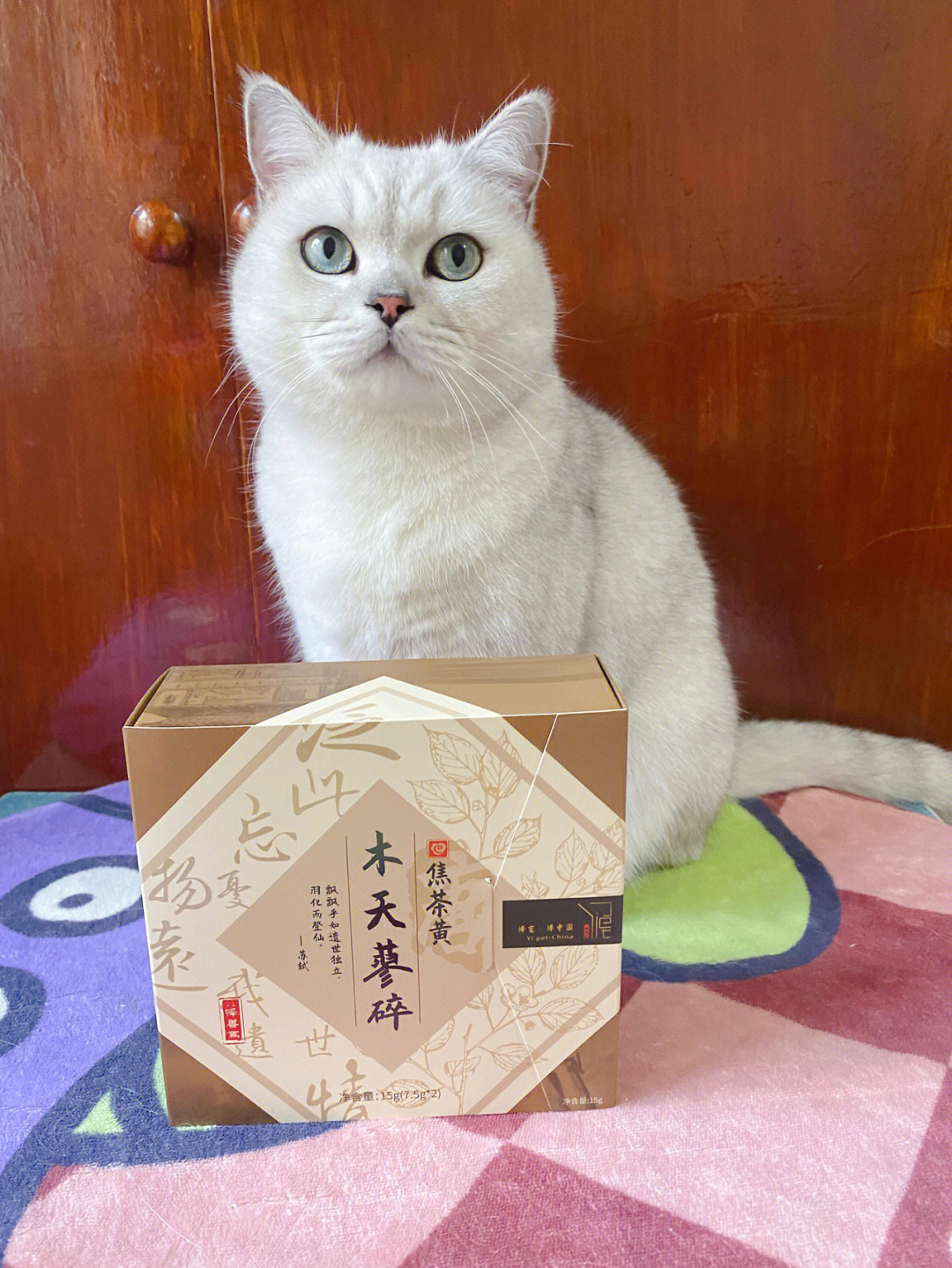 木天蓼对小猫咪的重要性