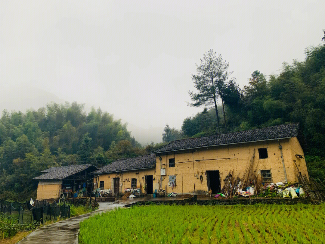 丽水遂昌石练镇上一个小山村