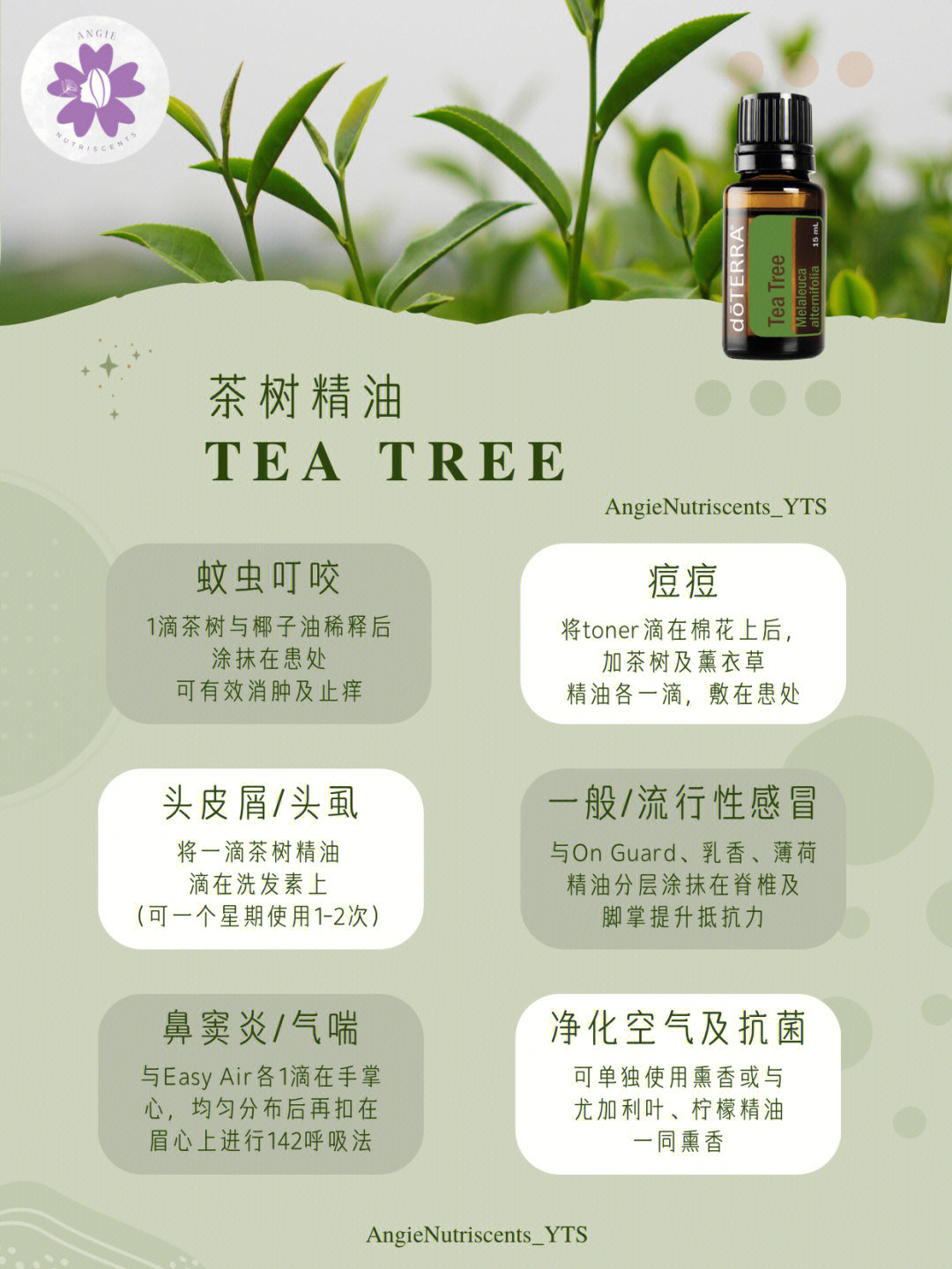 必收藏78doterra茶树精油的18种用法