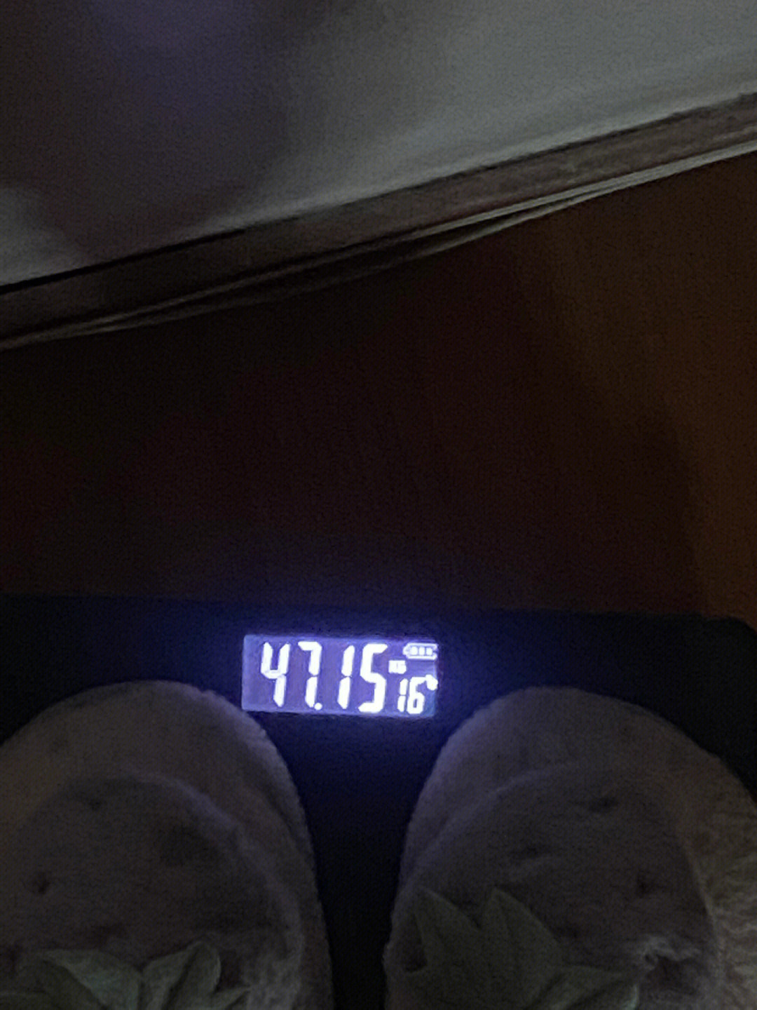 这是我冬天的时候称的体重现在基本卡在47kg 了这还不是我最后的结果