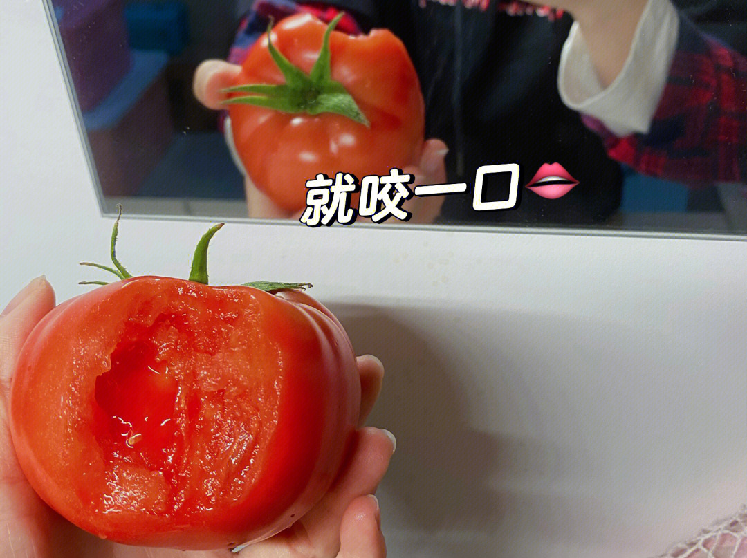 庄佳 西红柿图片