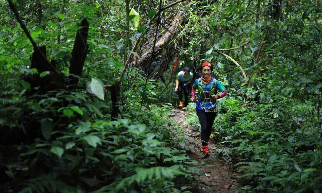 穿越雨林      酷爱户外运动和徒步旅行的你,打卡过雨林徒步吗?