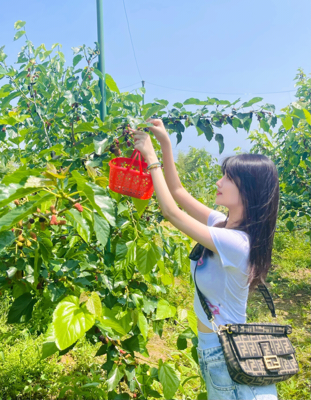 小果说穿搭图片