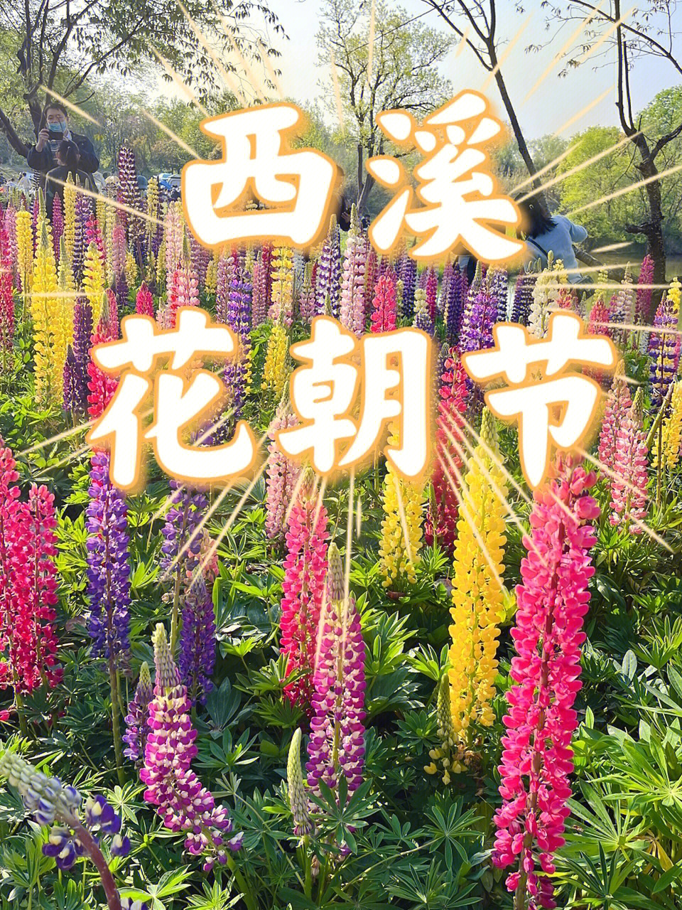 上巳节和花朝节图片