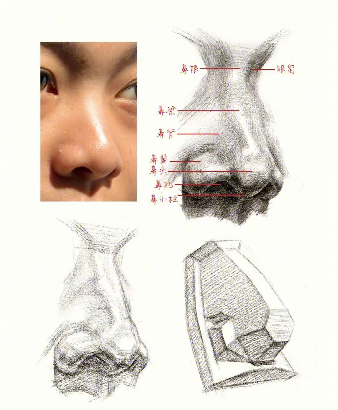 素描头像鼻子的详细图解60练起来606060