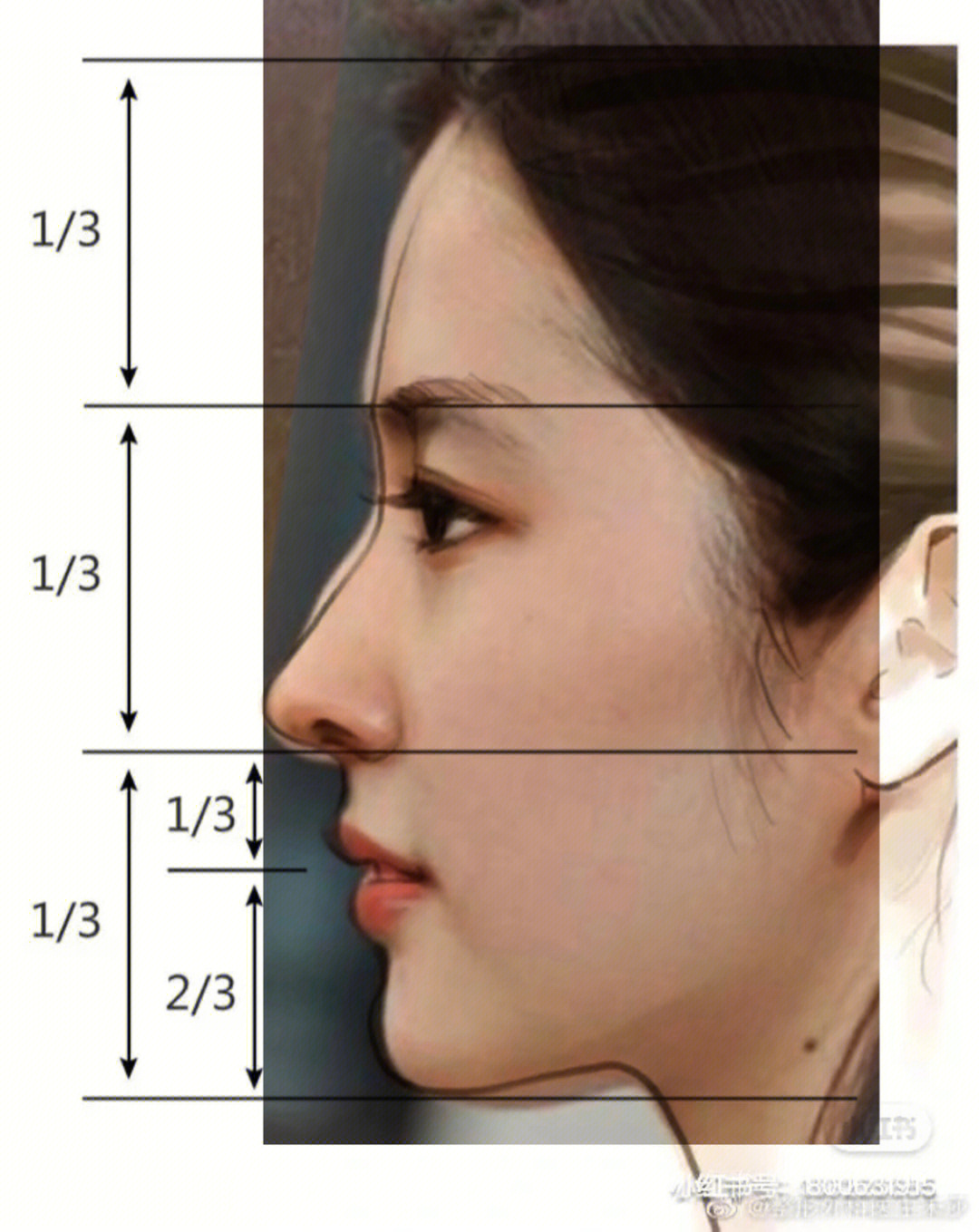 刘亦菲脸型分析图图片
