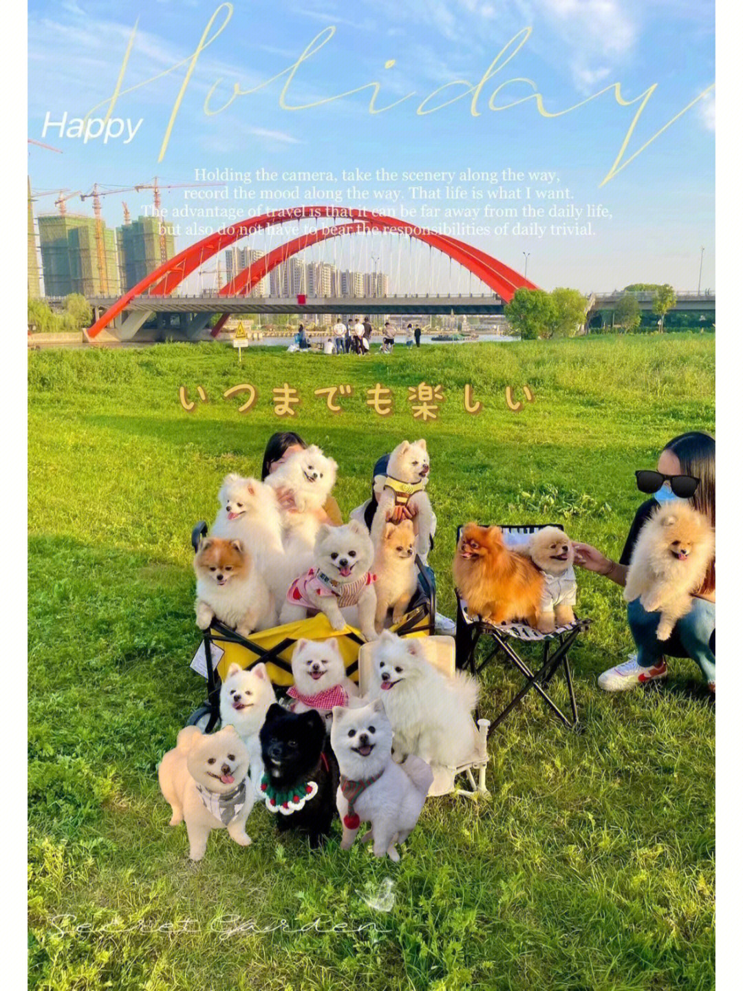 人和博美犬的合照图片