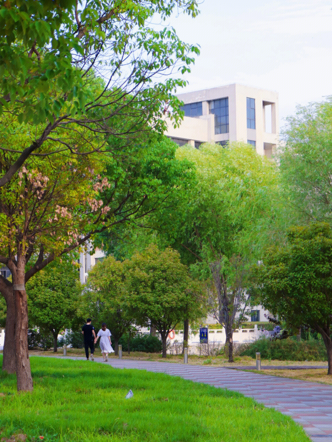 亳州学院 校园风光图片