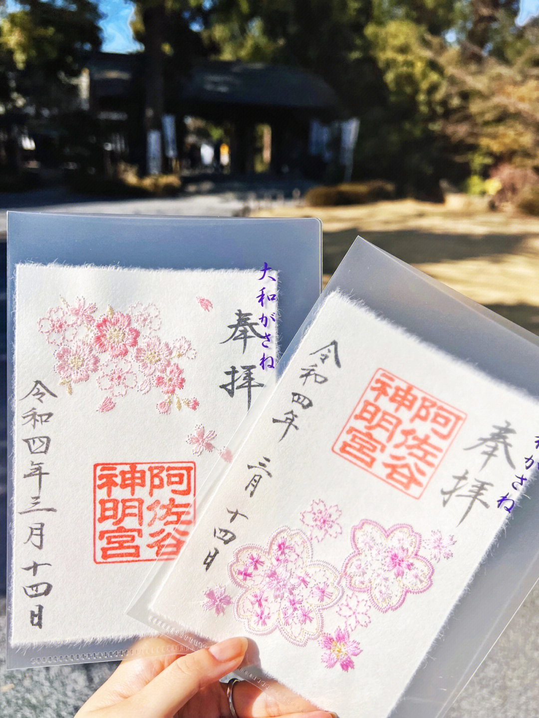 阿佐谷神明宫女孩子挪不开眼睛的神社75