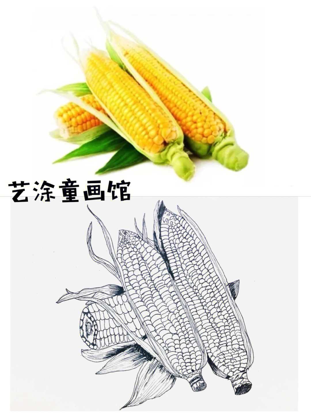 玉米画画作品图片图片
