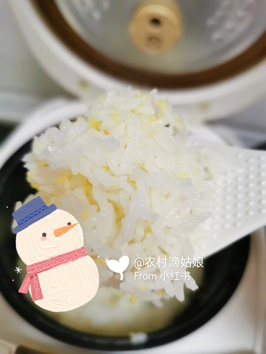 大米饭欧尼爱吃冰图片