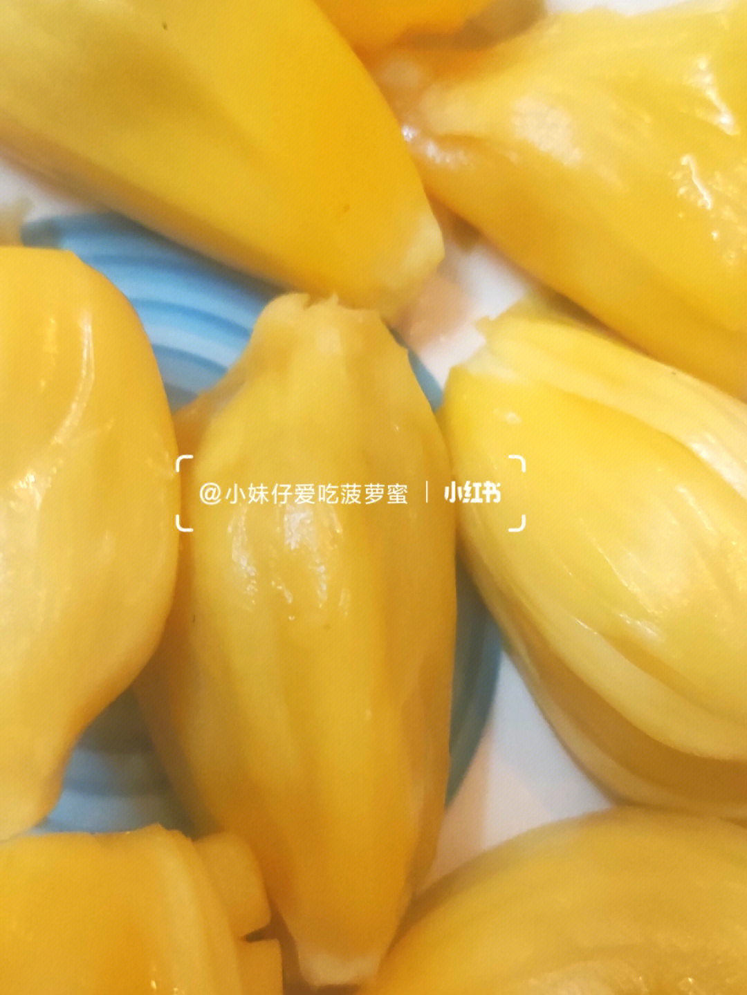 煮熟的菠萝蜜核麻嘴图片