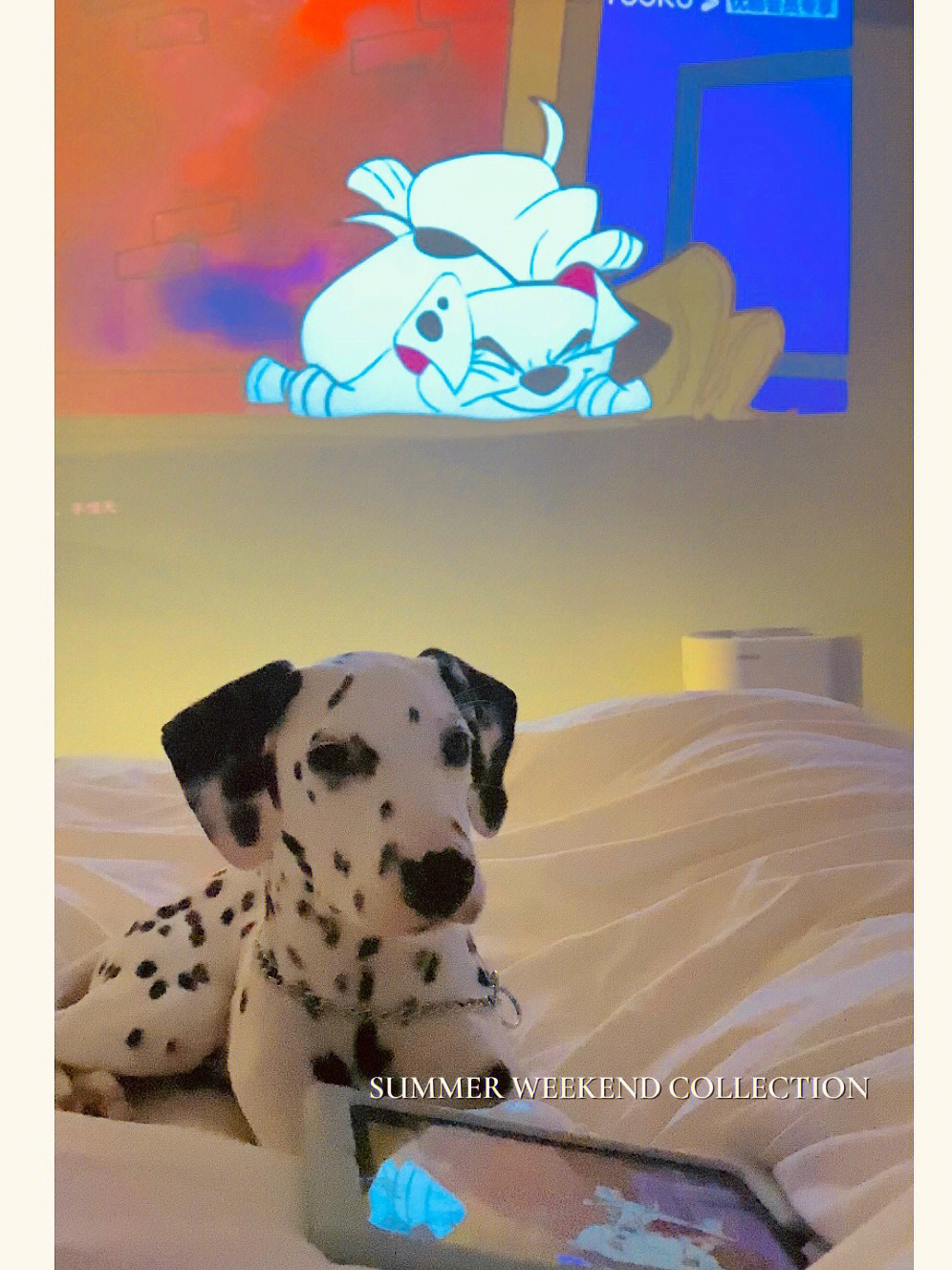 迪士尼斑点狗名字图片