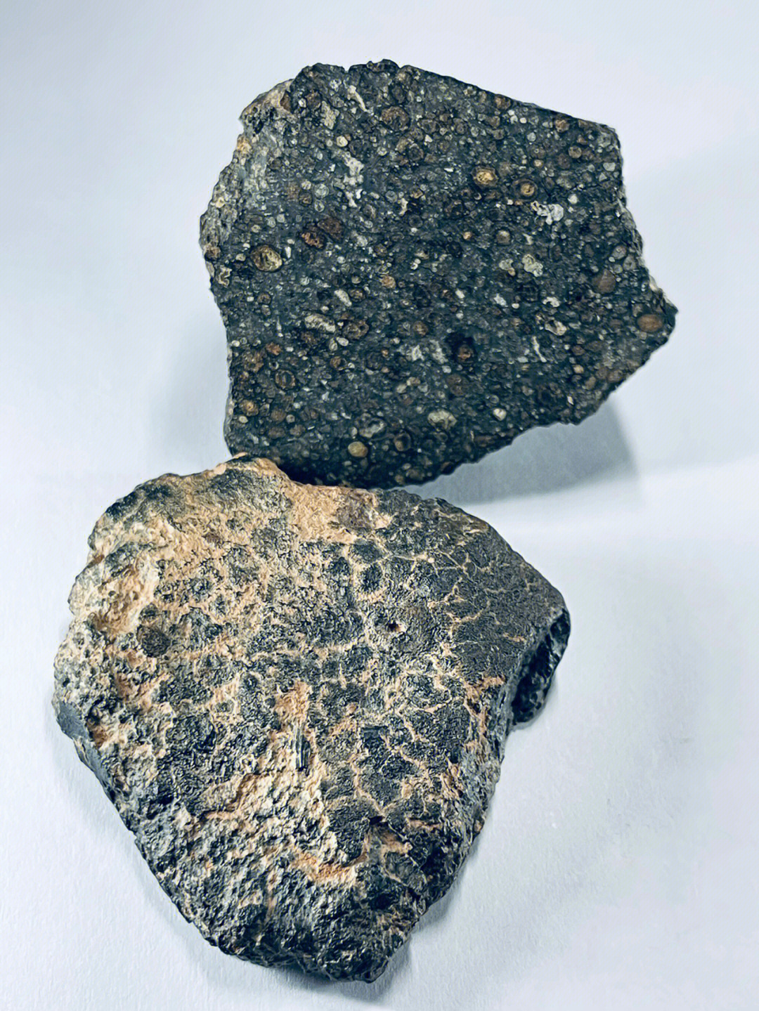 碳质陨石罕见图片