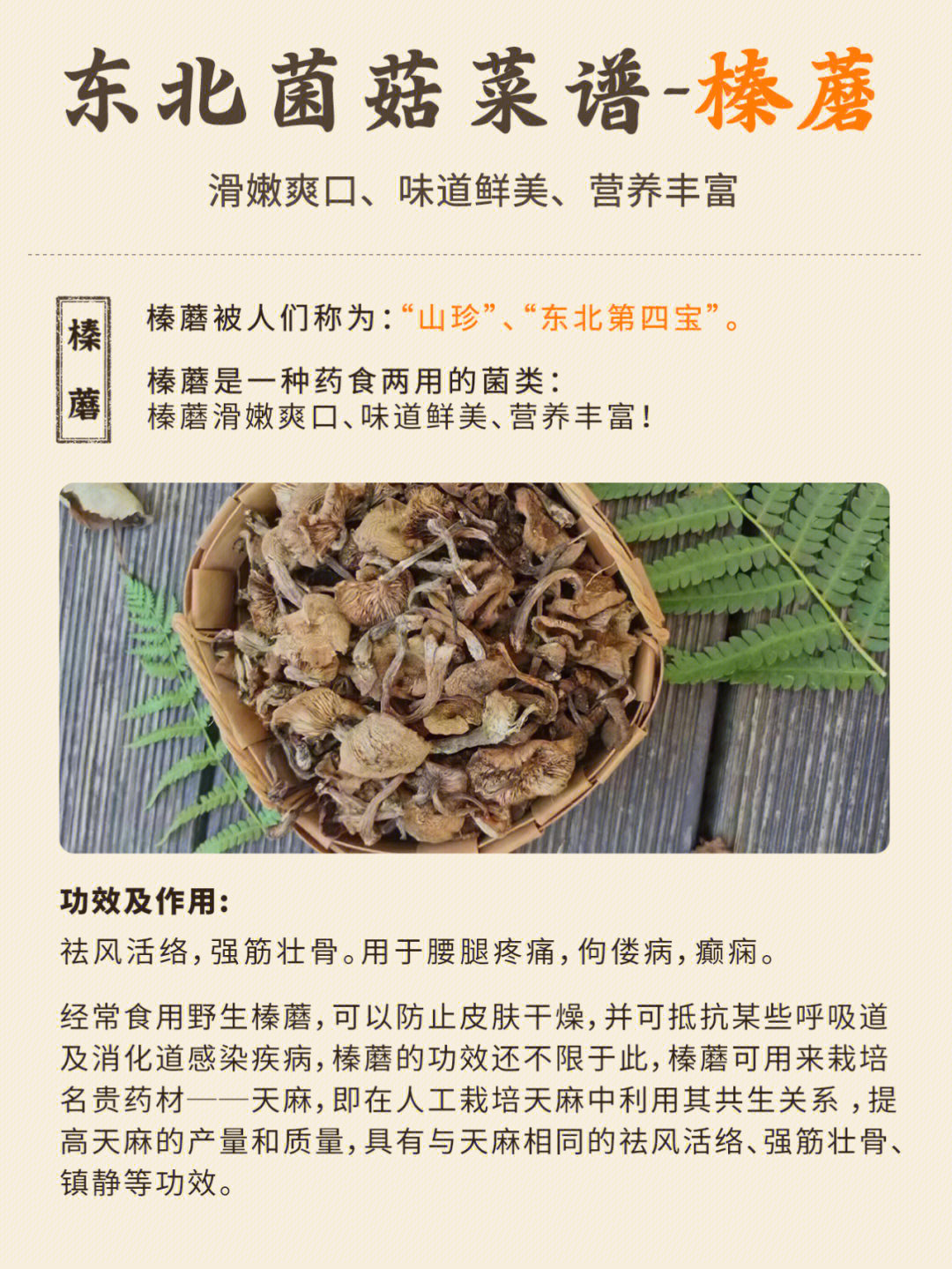 榛蘑菜谱小鸡炖蘑菇