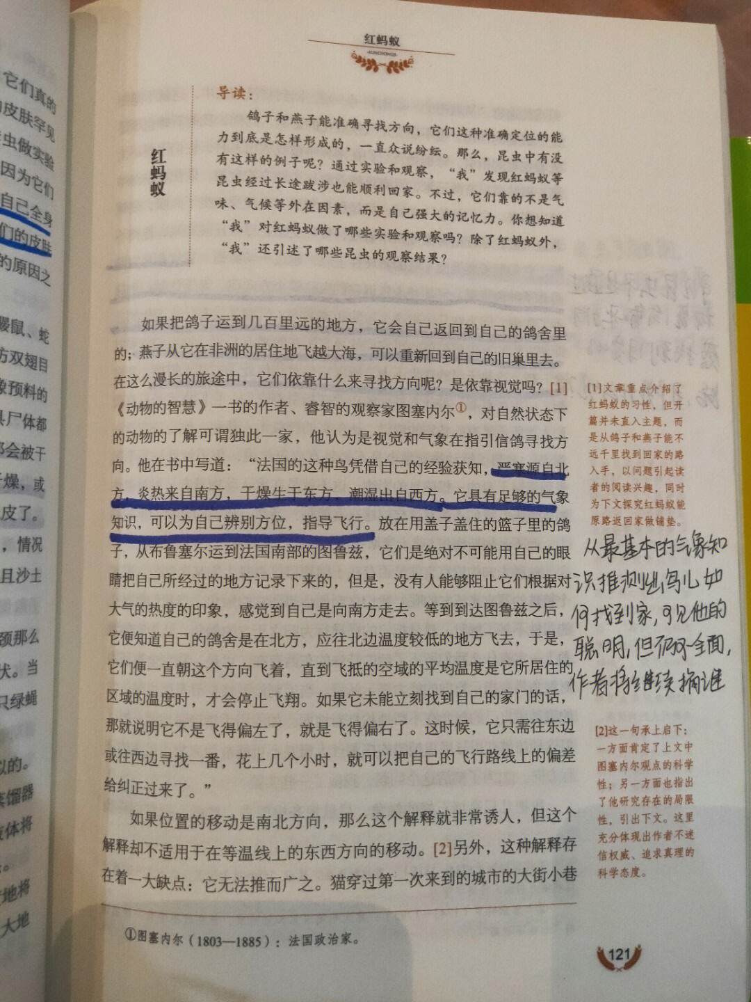 昆虫记红蚂蚁上篇