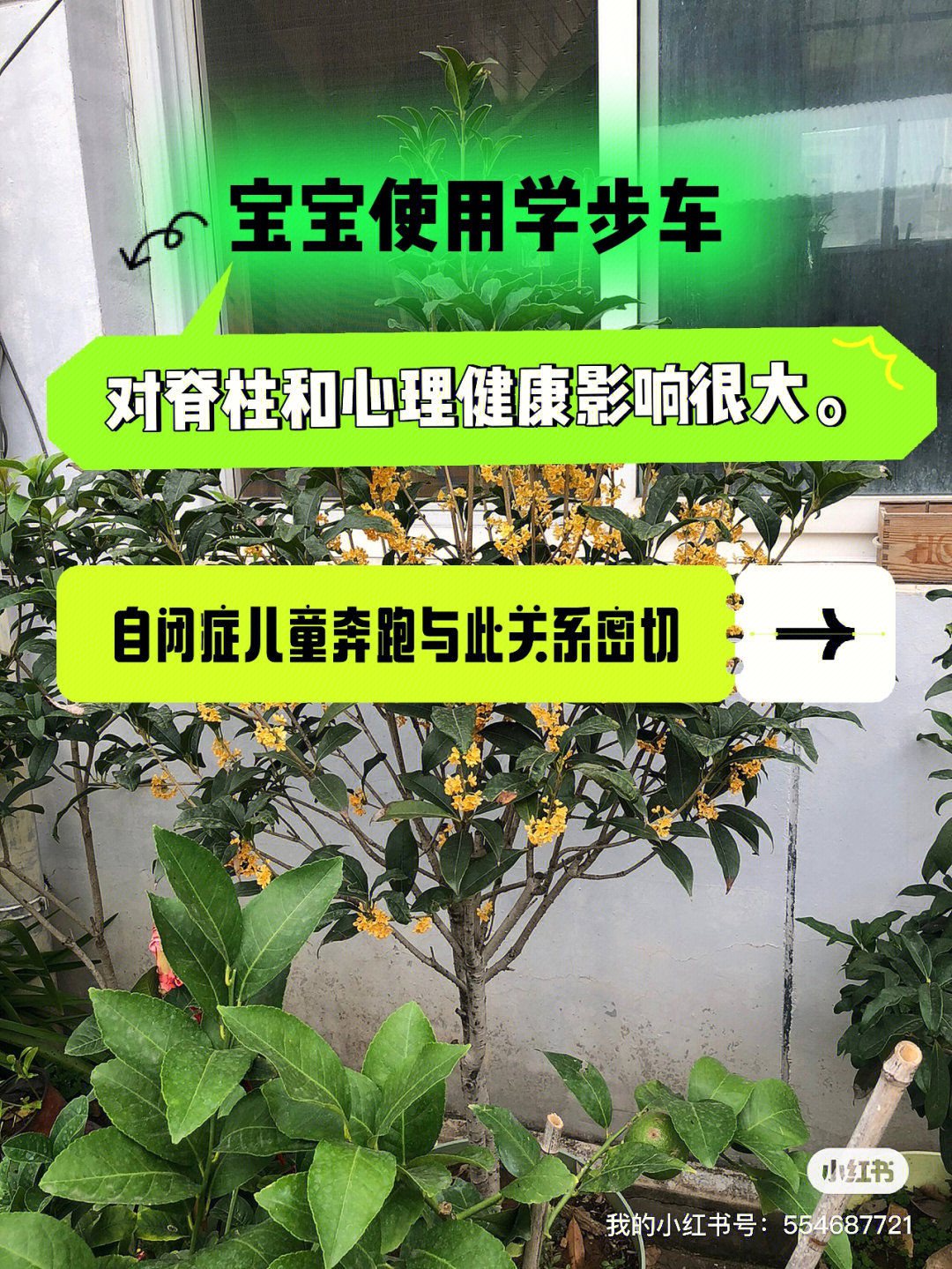 学步车的危害图片